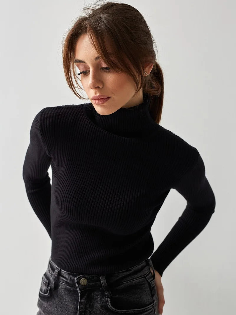 Elite Turtleneck Knit Sweater