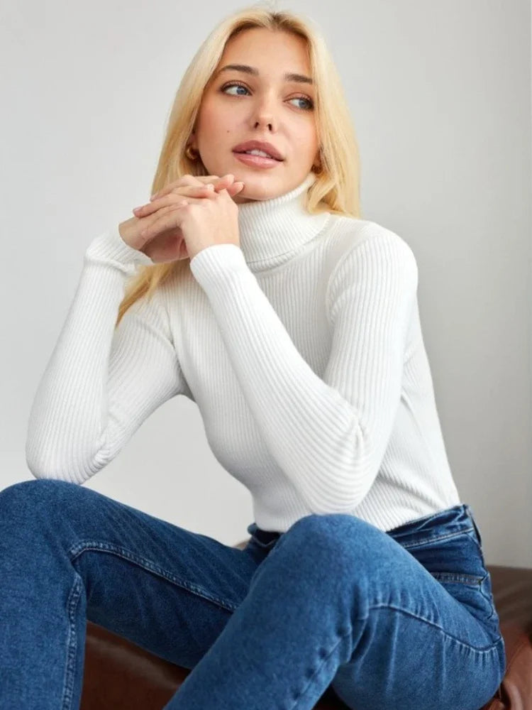 Elite Turtleneck Knit Sweater