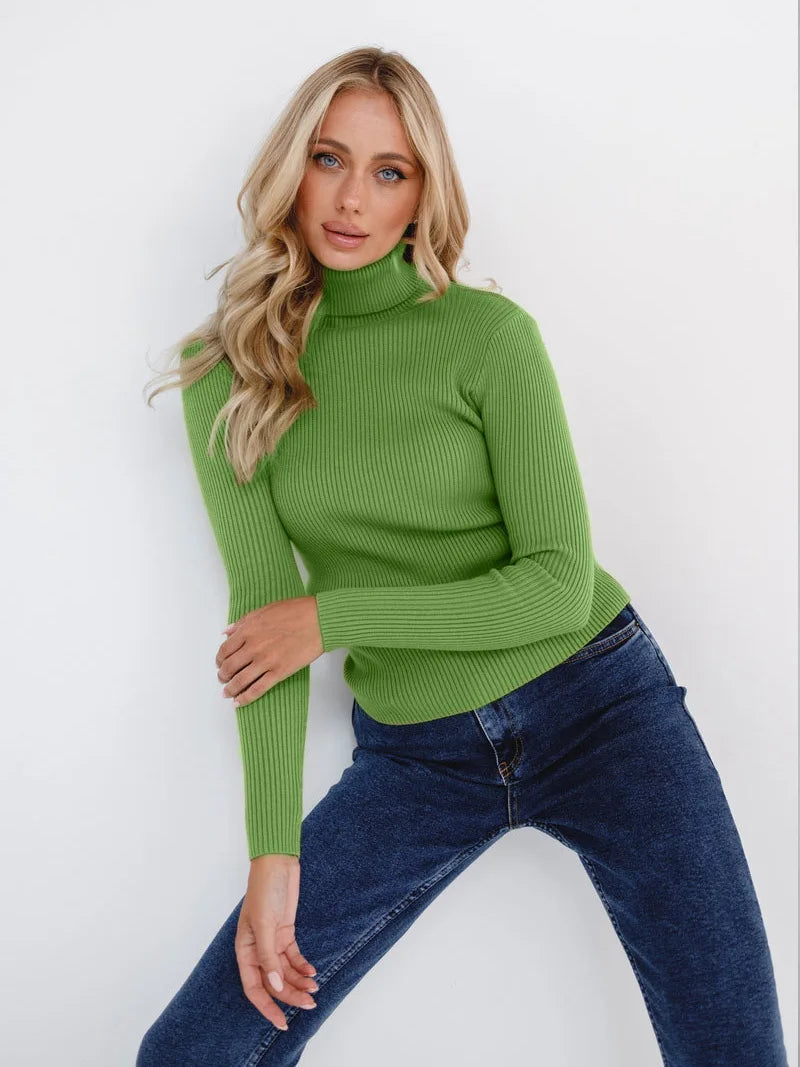 Elite Turtleneck Knit Sweater
