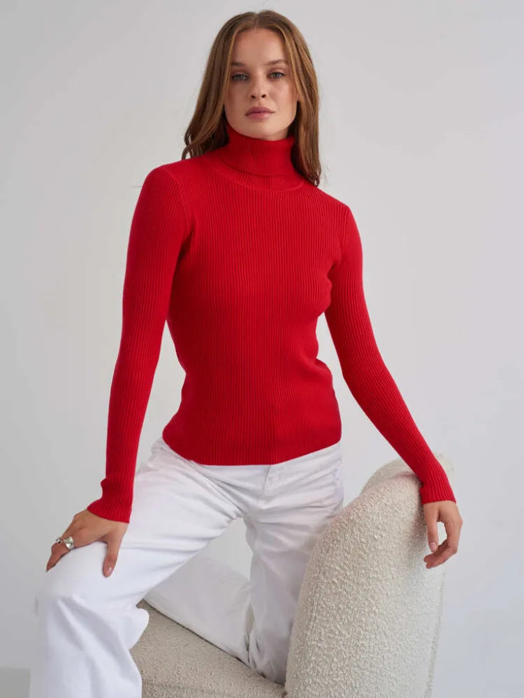 Elite Turtleneck Knit Sweater