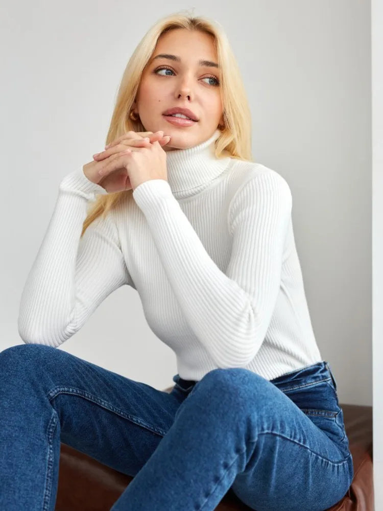Elite Turtleneck Knit Sweater